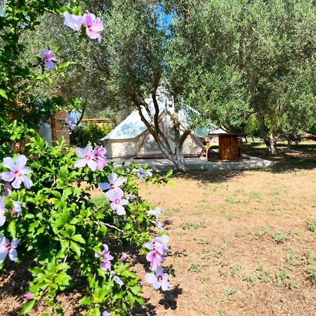 Eco Glamping With Pool Between Nafplio And Argos Exteriér fotografie