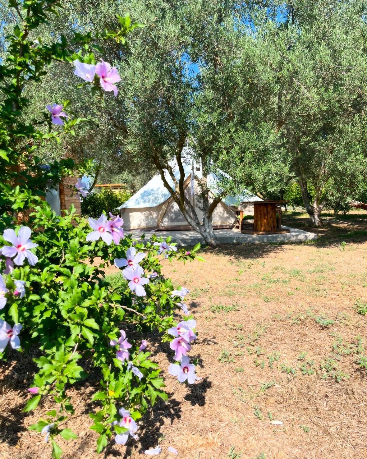 Eco Glamping With Pool Between Nafplio And Argos Exteriér fotografie
